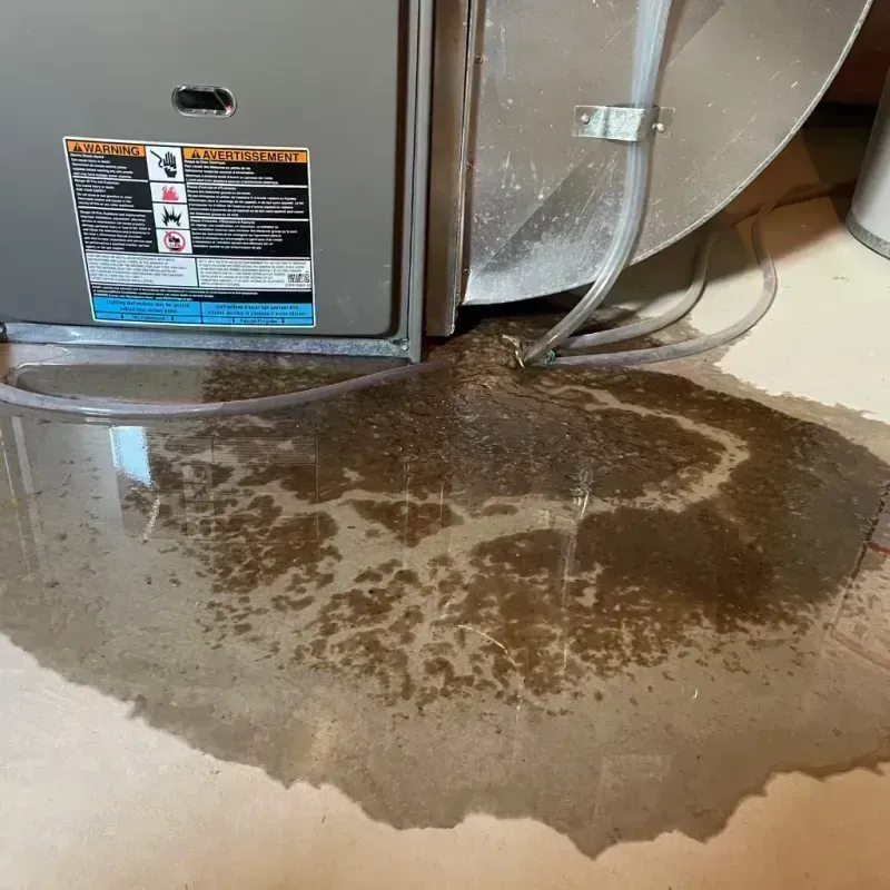 Appliance Leak Cleanup in Buckhannon, WV